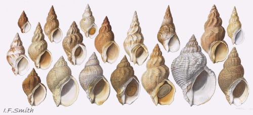 Over half a million of us played Slay the Spire 2 this weekend