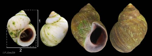 Slay the Spire 2 fan drew badly every day until its release, now they’ve created an art book to celebrate