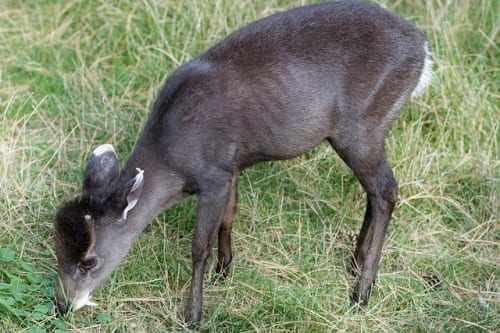 Blizzard veteran Rob Pardo says ‘love’ is the most important development milestone