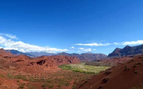 Crimson Desert | Critical Consensus