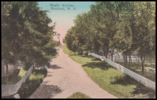 How Resident Evil Shifted Perspectives And Framed Fear Over 30 Years