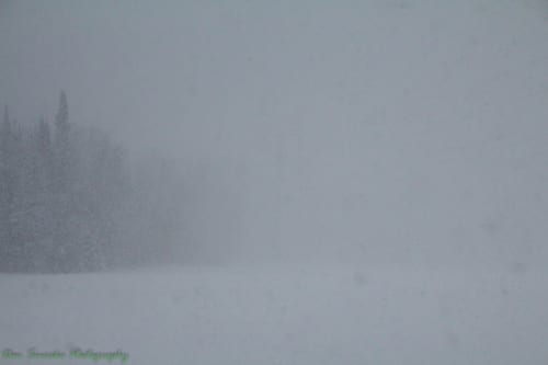 Palworld publishing boss thinks “we’re a few years away” from a AAA survival crafting game, and he was “super excited” for the one Blizzard canceled