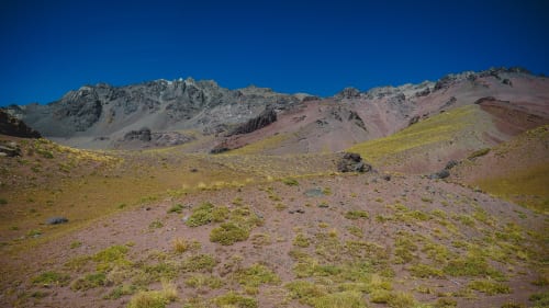 With Crimson Desert out, Pearl Abyss is reportedly focusing on open-world Pokemon-like game DokeV