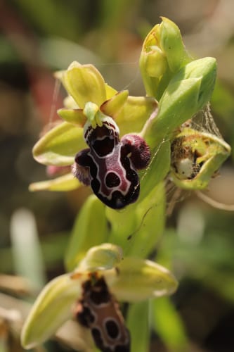 “We were there in the 80s for the crash, and this is definitely crashier.” John and Brenda Romero reflect on the industry crisis