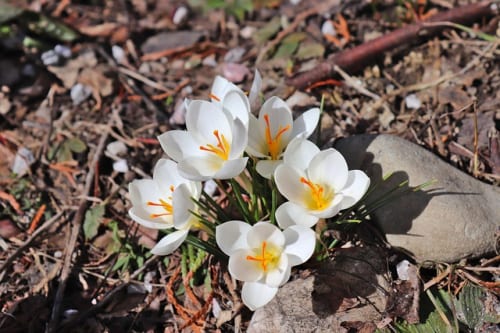 Fortnite OG Season 8 Brings Back Pirate Theme And Marvel Mode