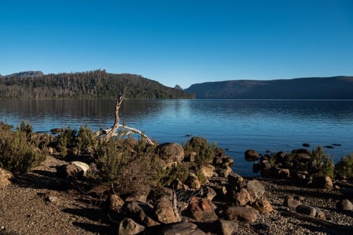 Clair Obscur: Expedition 33 Will Get A Premium Art Book This Fall