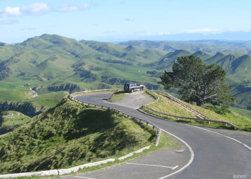 After Peak’s Success, Its Devs Face Burnout and Big Decisions