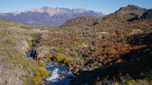 Crimson Desert patch now available – here’s what’s new