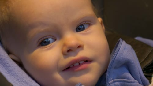 State of Decay 3 lead says the game only existed in a Word document when its reveal trailer dropped 6 years ago: “We’re not doing zombie animals”