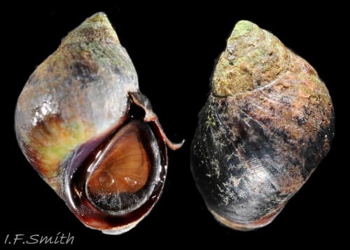 Slay the Spire 2 beats Crimson Desert and Resident Evil Requiem as March’s biggest-selling game on Steam