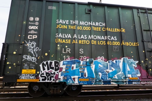 I am in love with Forza Horizon 6’s Nissan Silvia