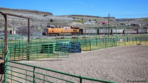 Finding inspiration and a bit of hope in CorgiSpace