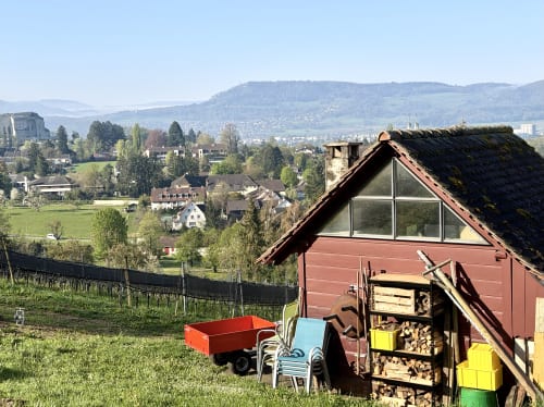 The Boys Homelander actor Antony Starr says fans constantly offer him milk: “It’s the best joke they can think of”