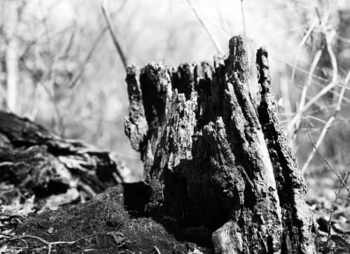 Review: South Of Midnight (Switch 2)