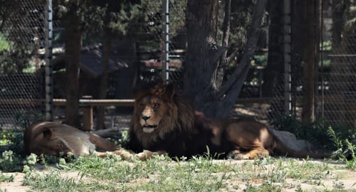 “I wish artists would take notice that this is a great time to learn some form of AI”