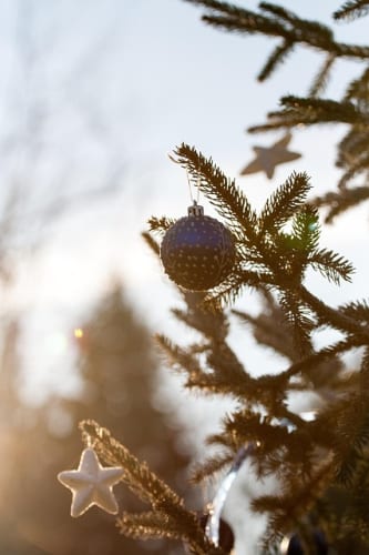 Pokemon-Palworld Clone Pickmos Pulled From Steam As Publisher Promise “Controversy-Free” Rework