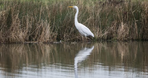Silo season 3 trailer teases the beginning of the end for one of Apple’s best sci-fi shows