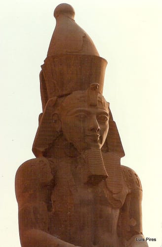 Dynasty Warriors: Origins Snaps Up Photo Mode In New Update, Here Are The Patch Notes