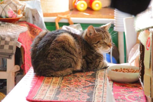 German game industry employment drops 3%, marking second year of decline