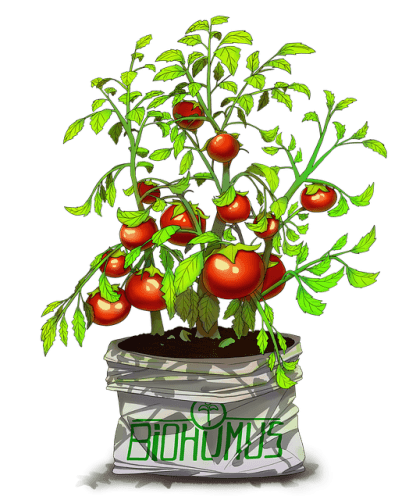 Where To Find Fertilizer In Arc Raiders