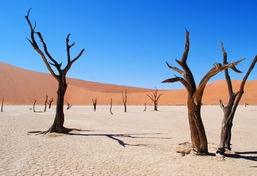 Crimson Desert player finds out-of-bounds village that looks like medieval Red Dead Redemption 2, and now everyone's hoping Pearl Abyss will let us pillage it in a future update 1 Crimson Desert player finds out-of-bounds village that looks like medieval Red Dead Redemption 2, and now everyone’s hoping Pearl Abyss will let us pillage it in a future update
