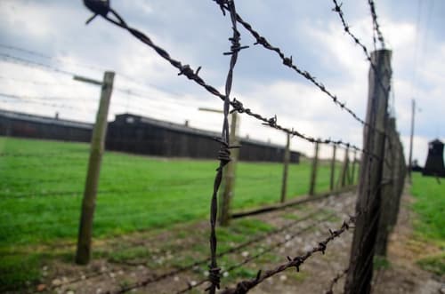 Stop Killing Games suffers setback following European Parliamentary hearing 1 Stop Killing Games suffers setback following European Parliamentary hearing