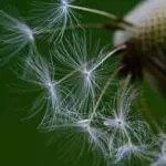 Ralph 4655 22879 app boost agency splitmetrics appoints new cro