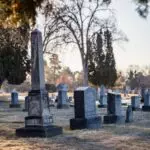 Ralph 4629 22967 call of responsibility dim ops 6s subsequent zombies procedure is named the tomb and plung6788d833dbe1d