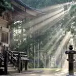 Ralph 4509 23402 nintendos realistic salary crowned the 2d top in western japan final three hundred and six678eaadca6c4d