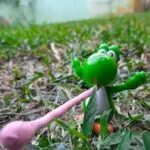 Ralph 4493 23455 leading analysts predict the nintendo switch 2 might perchance perhaps well additionally s678fb607d66c1