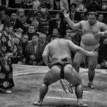 Ralph 4115 24785 sumo group confirms impact on group as it pivots to kind exclusively for partners