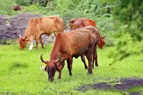 Farming Simulator 25 tops 3m sales | News-in-transient