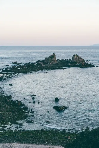 Monster Hunter lead producer agrees PC gaming is wanted for Eastern games: “There are extra avid gamers than ever playing on PC, including in Japan”