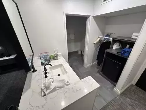 Two Unique Vinland Saga Manga Deluxe Editions Are Releasing This one year