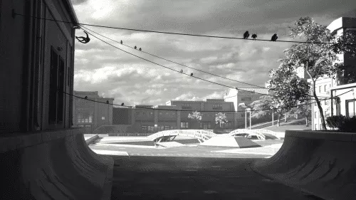 Tony Hawk's Dynamic Skater Hub Teases Exciting Announcement Ahead 1 Tony Hawk’s Educated Skater Space Is Counting Down To An Announcement