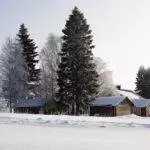 Ralph 3653 26490 fingersoft coo ville rauma leaves developer