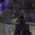 Ralph 3591 26714 neverwinter nights fair bought a contemporary enlargement 23 years after its initiate