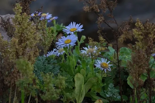 Sailing into Adventure: The New Era of Pirate RPGs on Steam 1 I’m no longer asserting this commence-world pirate RPG is the Sid Meier’s Pirates successor I’ve wanted for 21 years, but essentially based on its bangin’ Steam Subsequent Fest demo, or no longer it’s a ways rarely no longer that