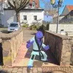 Ralph 3428 27278 poll field work brawl