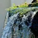 Ralph 3388 27433 characteristic these previous 8 years glean been a privilege