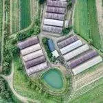 Ralph 3299 27750 jam city declares sale of ludia