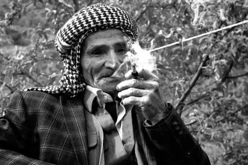 Avowed has a Skyrim Easter egg that pokes relaxing at the RPG’s most memed about companion NPC