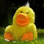 Ralph 3269 27857 random these hugging pokemon plushies are some of the cutest we now maintain considered in67ccac617d466
