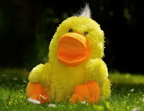 Adorable Alert: Discover the Cutest Plushies Inspired by Hugging Pokémon! 1 Random: These Hugging Pokémon Plushies Are Some Of The Cutest We now maintain Considered In A Whereas