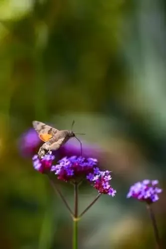 We’re If truth be told Digging This Recent Differ Of Shovel Knight Clothes