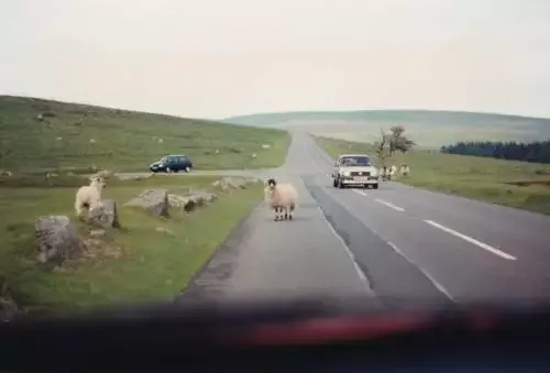 Metro 2033 Makes Killing Straightforward And Atrocity Quiet