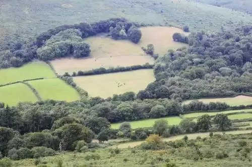 Harry Potter And The Goblet Of Fireside’s Interactive Illustrated Version Is Up For Preorder