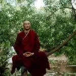 Ralph 2802 29536 inzoi karma defined and how to trade your karma