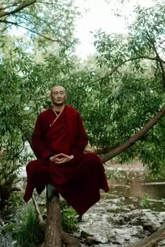 InZoi Karma Defined And How To Trade Your Karma 1 InZoi Karma Defined And How To Trade Your Karma