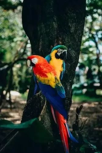 The Stunning Dune Deluxe Edition Book Box Set Is On Sale For Over 50% Off At Amazon 1 The Stunning Dune Deluxe Edition Book Box Set Is On Sale For Over 50% Off At Amazon